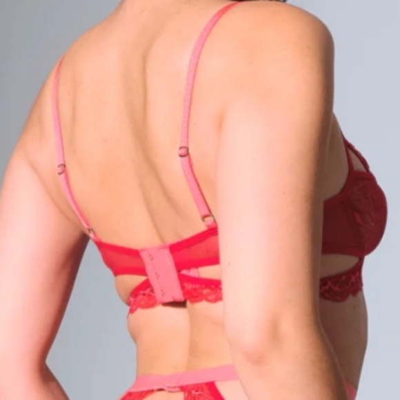 Thistle and Spire Bra - Picture 2 of 5